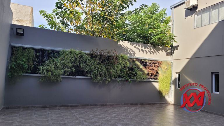 fotos-web-instituto-proyeccion-xxi (20)