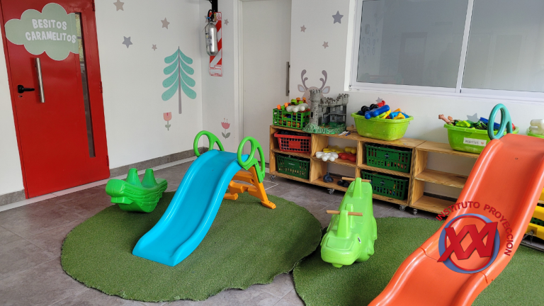 fotos-web-instituto-proyeccion-xxi (21)