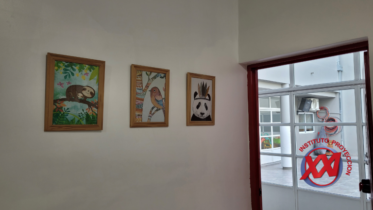 fotos-web-instituto-proyeccion-xxi (25)