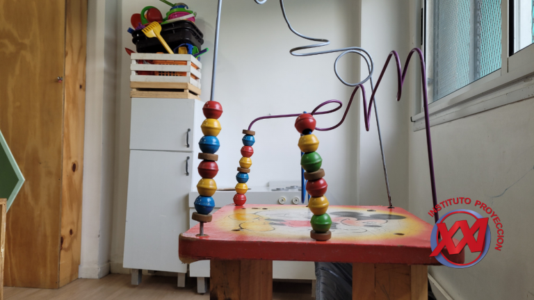 fotos-web-instituto-proyeccion-xxi (27)