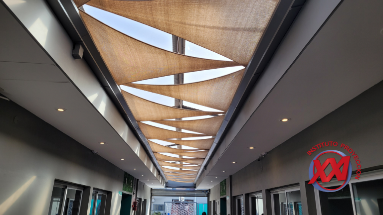 fotos-web-instituto-proyeccion-xxi (31)