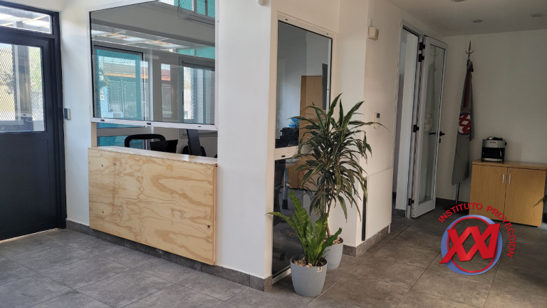 fotos-web-instituto-proyeccion-xxi (35)