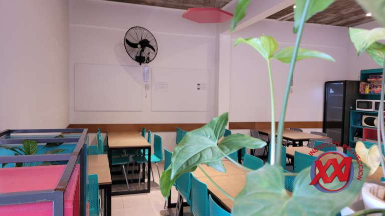 fotos-web-instituto-proyeccion-xxi (48)