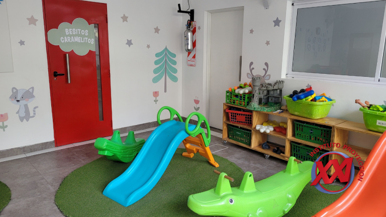 fotos-web-instituto-proyeccion-xxi (8)